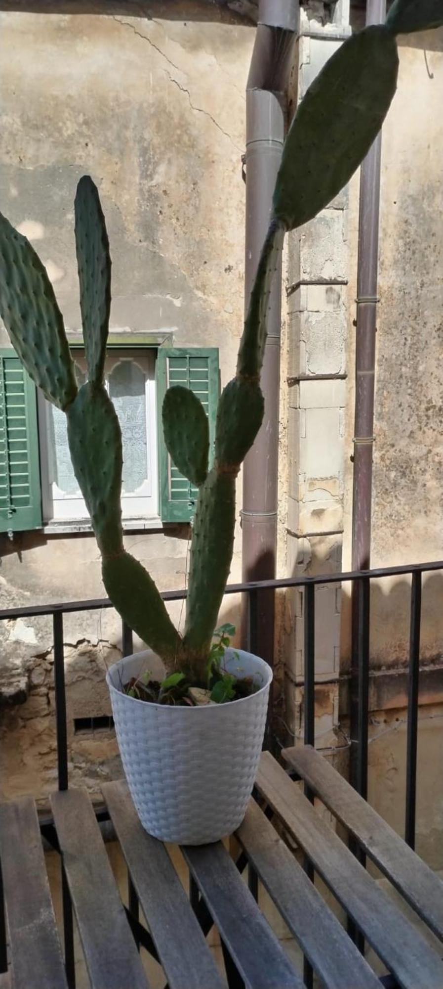 Residenza Donnafugata B&B Ragusa Eksteriør billede